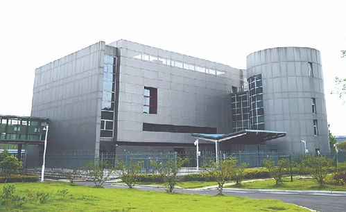 上海分院捷報頻傳 多項成果榮膺年度中國十大科技進展新聞，展現上海技術開發新高度